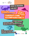 Cercasi Youth leader per scambio giovanile in Ungheria!