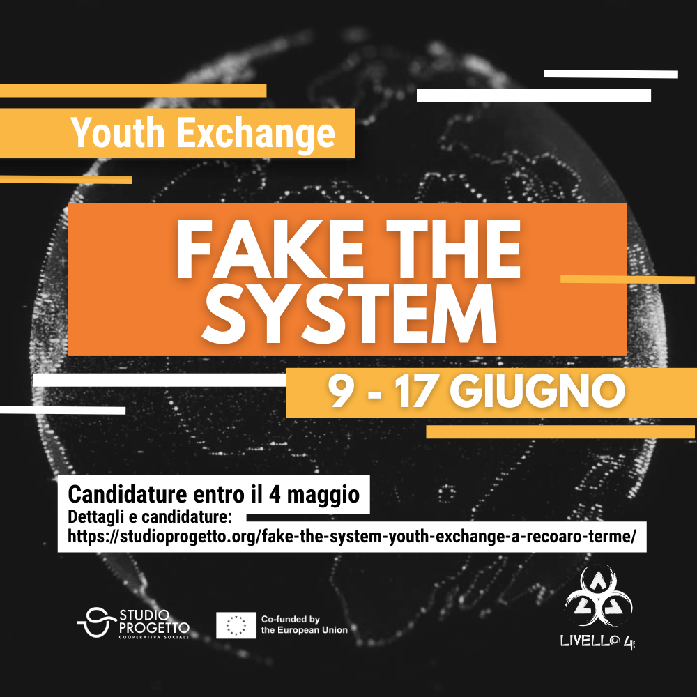 FAKE THE SYSTEM 