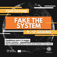 FAKE THE SYSTEM 
