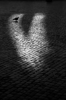 “Luci e ombre”: concorso fotografico 