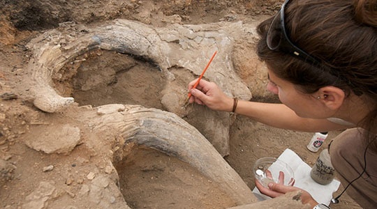 Archeologia nel nostro territorio