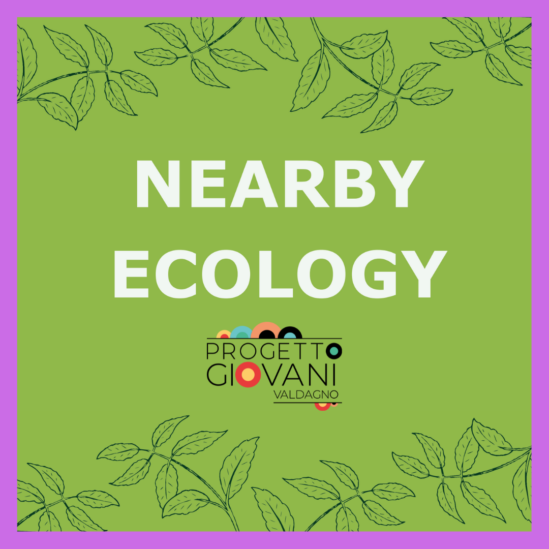 Nearby Ecology - Corso di formazione Erasmus+