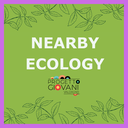 Nearby Ecology - Corso di formazione Erasmus+