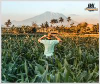 Programma europeo per giovani agricoltori