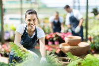 Tirocini all'estero per giovani diplomati di istituti agrari 