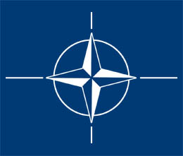 Internship Programme della NATO