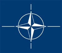 Internship Programme della NATO