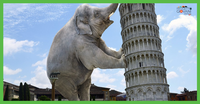 LIBERI DI SCEGLIERE 