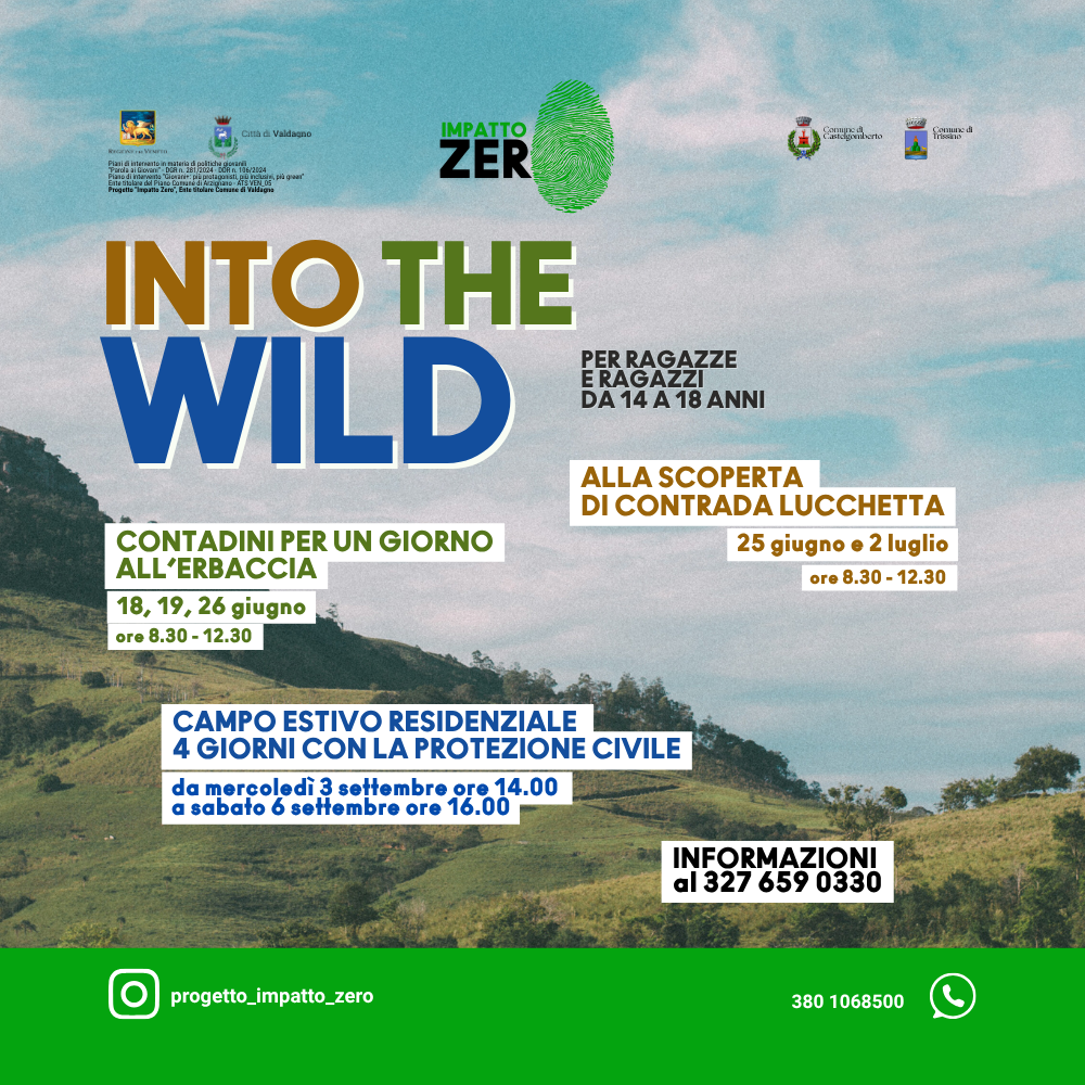 INTO THE WILD