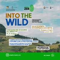 INTO THE WILD
